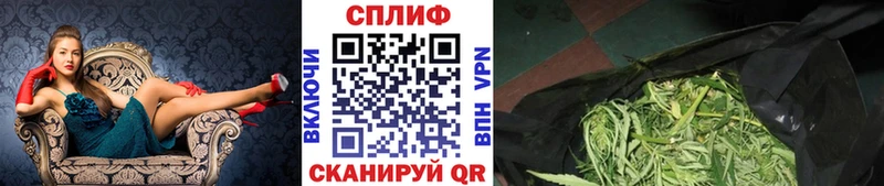 МЕГА зеркало Лодейное Поле МАРИХУАНА гибрид